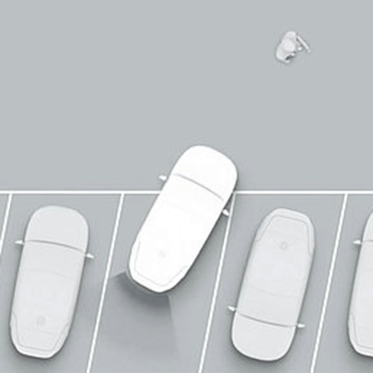 Ferngesteuerter Parkassistent (Remote Smart Parking Assist, RSPA)